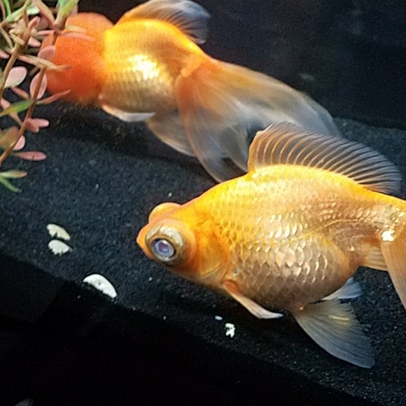 SAVEWAY!! - Picture 1 of 1